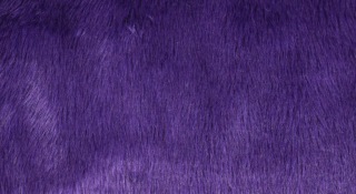 Potahová plyš, čalounická, fialová, vlas 20 mm