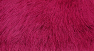 Umělá kožešina růžová , šíře 150, vlas 60 mm, metráž